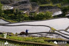 ���н�ɽ �����ƺ�ɽ�����С��