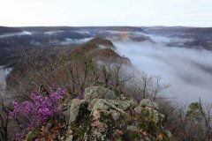 砬子山森林公园 鬼斧神工的自然之魅力