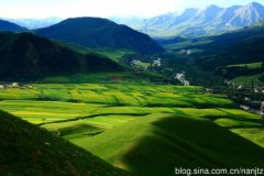 青海祁连山 最美夏季