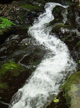 β