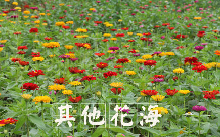 ͼԴ@ܻı