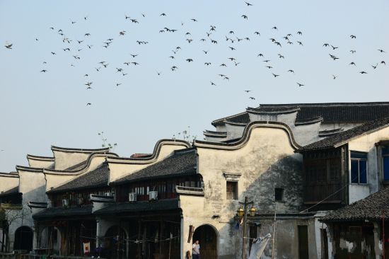䱹