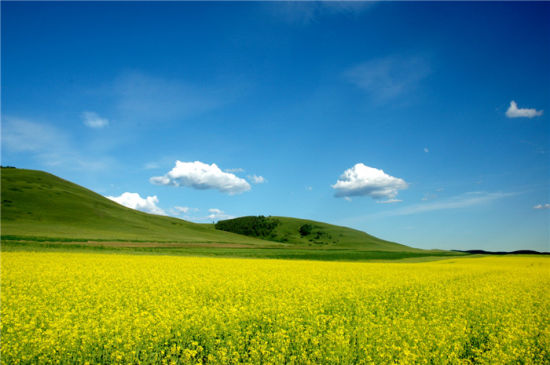 հ Դӱʡξ