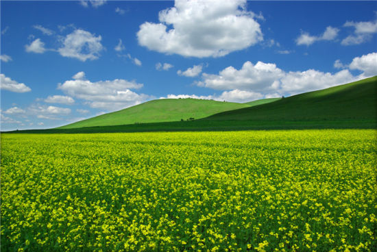 հ Դӱʡξ