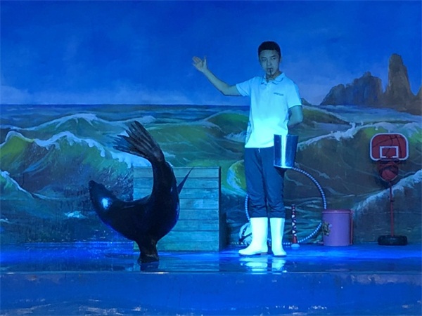 ʨ1.jpg