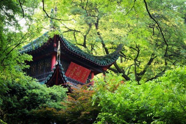 ���翴��ɳ��Booking.com�Ϳ������߽��̻��˼�